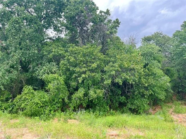 Unit for sale at Lot 18 Kilkenny, Poolville, TX 76487