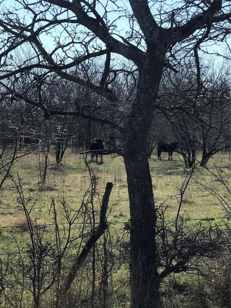Unit for sale at TBD 13.846 Acres Winn Road, Collinsville, TX 76233