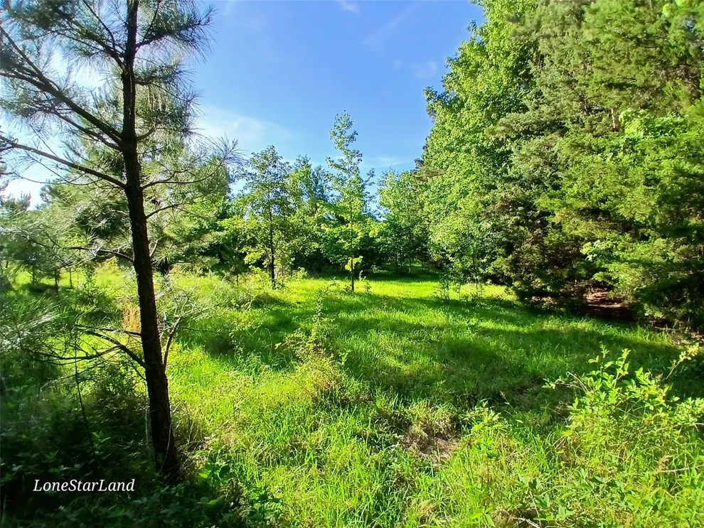 Unit for sale at 475 County Road 4421, Pittsburg, TX 75686