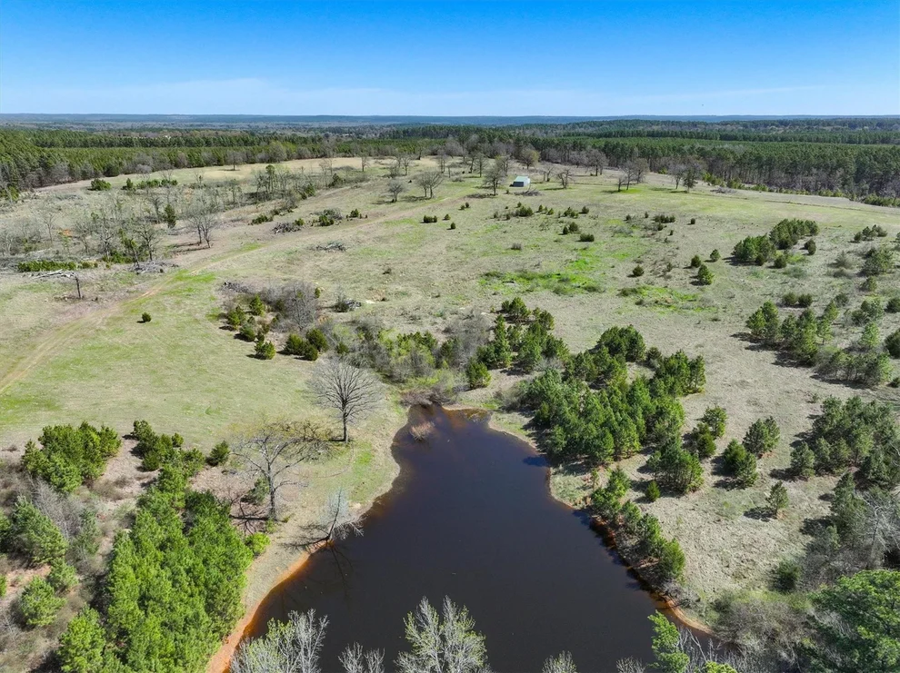 Unit for sale at 421 CR 3875, Mineola, TX 75773