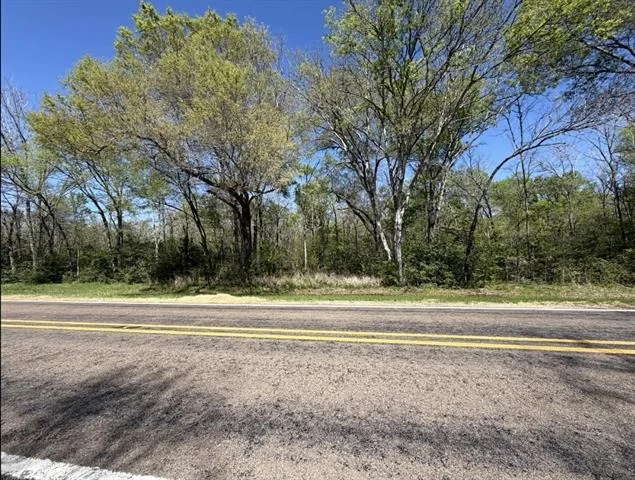 Unit for sale at Tract 3 FM 542, Oakwood, TX 75855