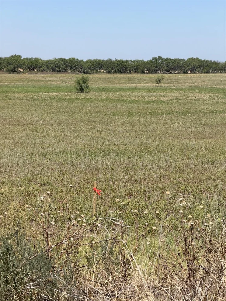 Unit for sale at TBD Lot 30 County Road 497, Anson, TX 79501