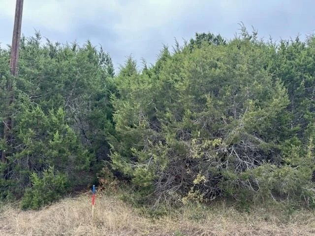 Unit for sale at 12048 Shady Creek Drive, Whitney, TX 76692
