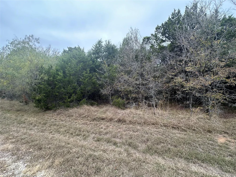 Unit for sale at 18029 Southhill Drive, Whitney, TX 76692