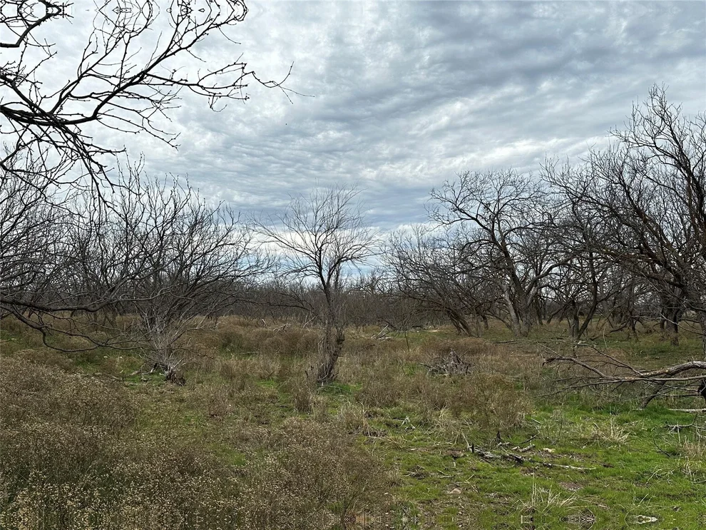 Unit for sale at Tract 13 AC CR 105, Abilene, TX 79601