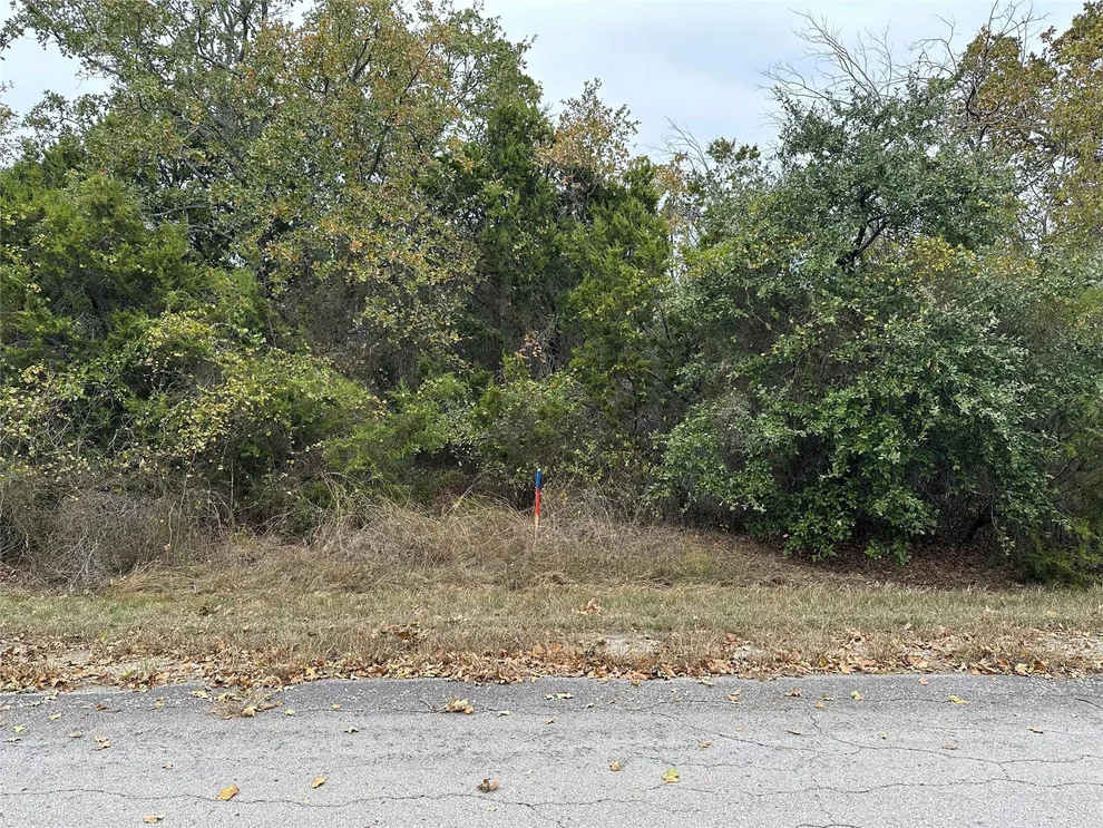 Unit for sale at 18017 Southhill Drive, Whitney, TX 76692