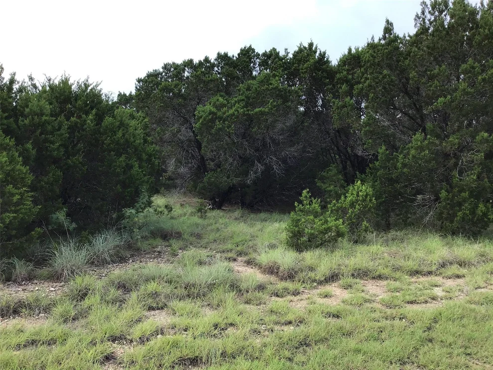 Unit for sale at 43020 Whisperwood Drive, Whitney, TX 76692