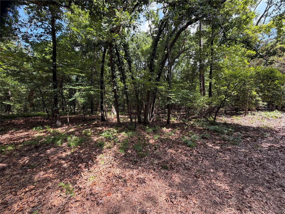 Unit for sale at Lot 29 & 30 King Arthur Court, Scroggins, TX 75480