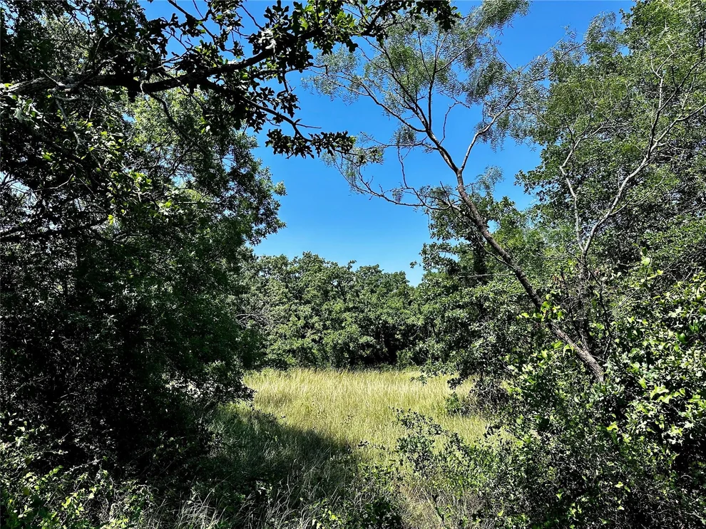 Unit for sale at TBD County Road 409, Cisco, TX 76437