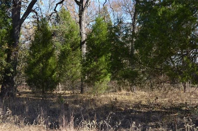 Unit for sale at 0 Boca Chica, Malakoff, TX 75148
