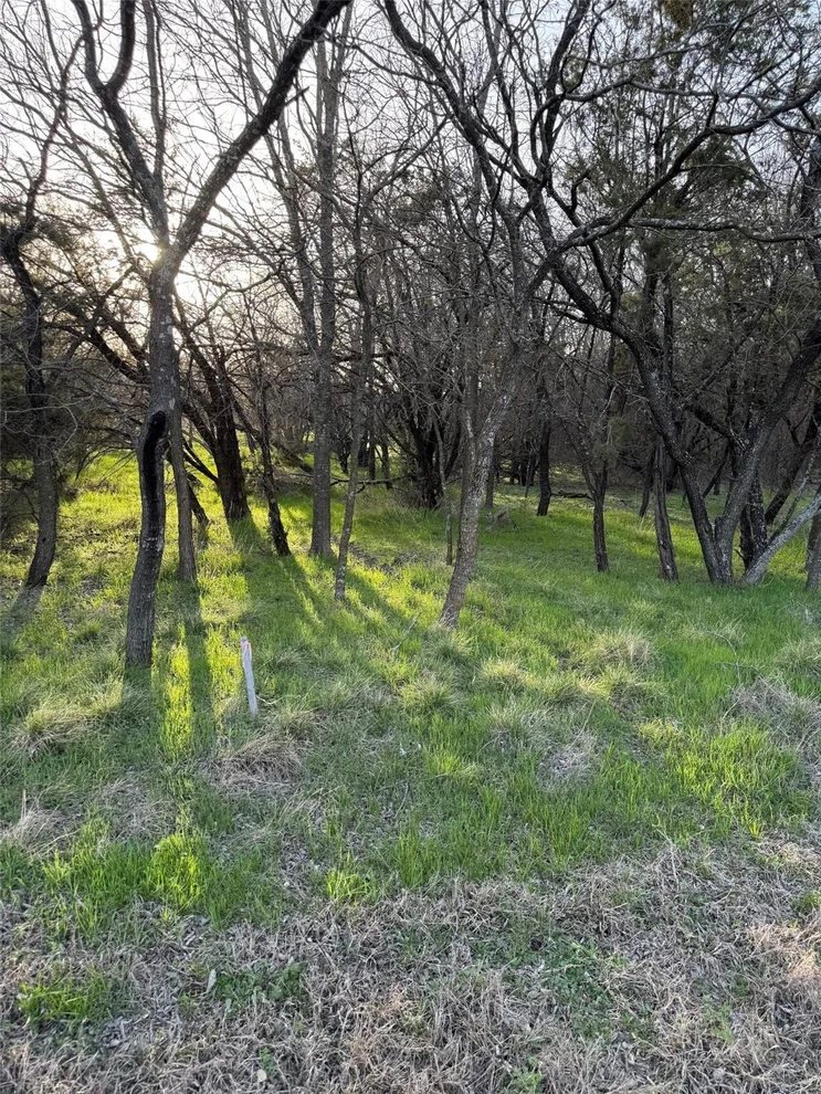 Unit for sale at 12147 Trailwood Drive, Whitney, TX 76692
