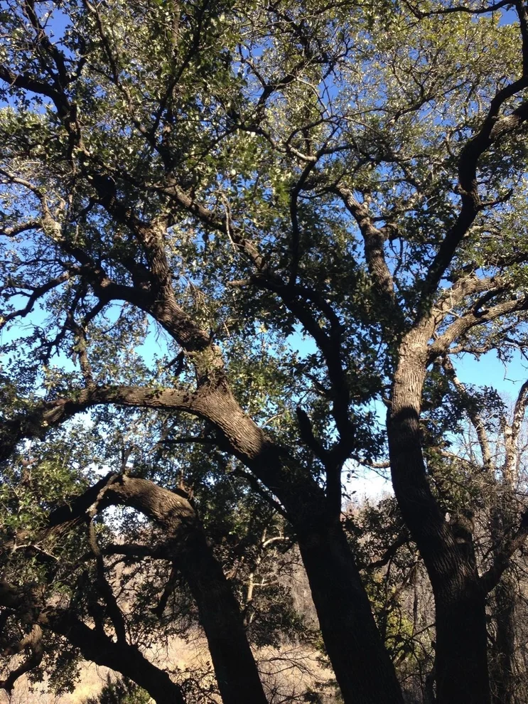 Unit for sale at Lot 694 Balcones Lane, Possum Kingdom Lake, TX 76449