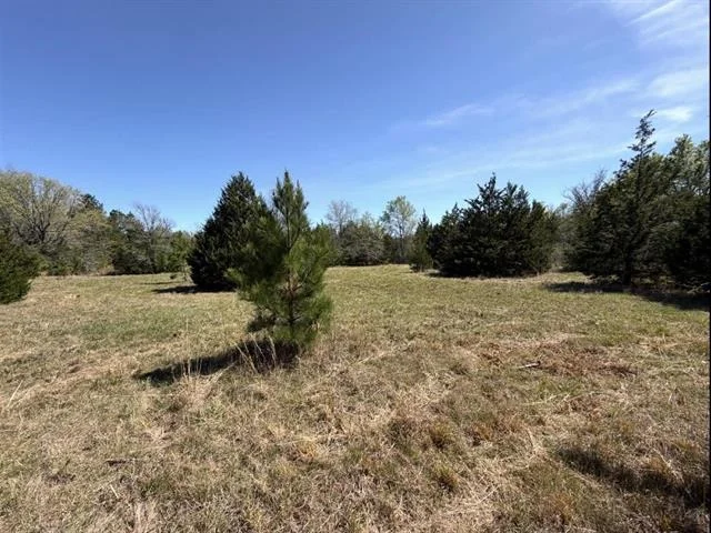 Unit for sale at Tract 2 FM 542, Oakwood, TX 75855