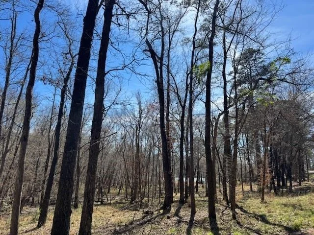 Unit for sale at TBD Anderson County Rd. 319, Frankston, TX 75763