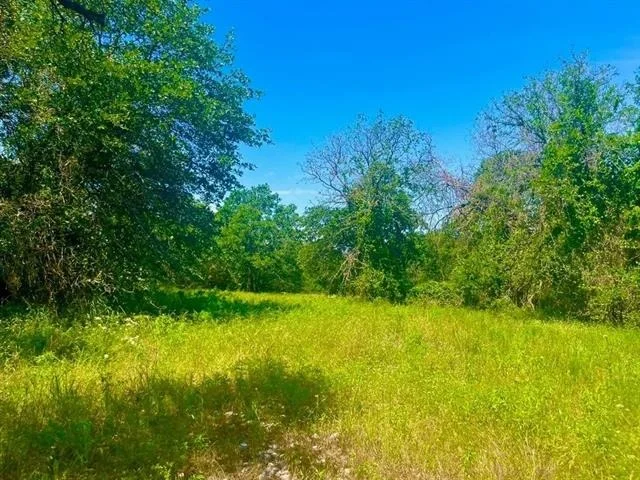 Unit for sale at Lot 98 Arlow Road, Poolville, TX 76487