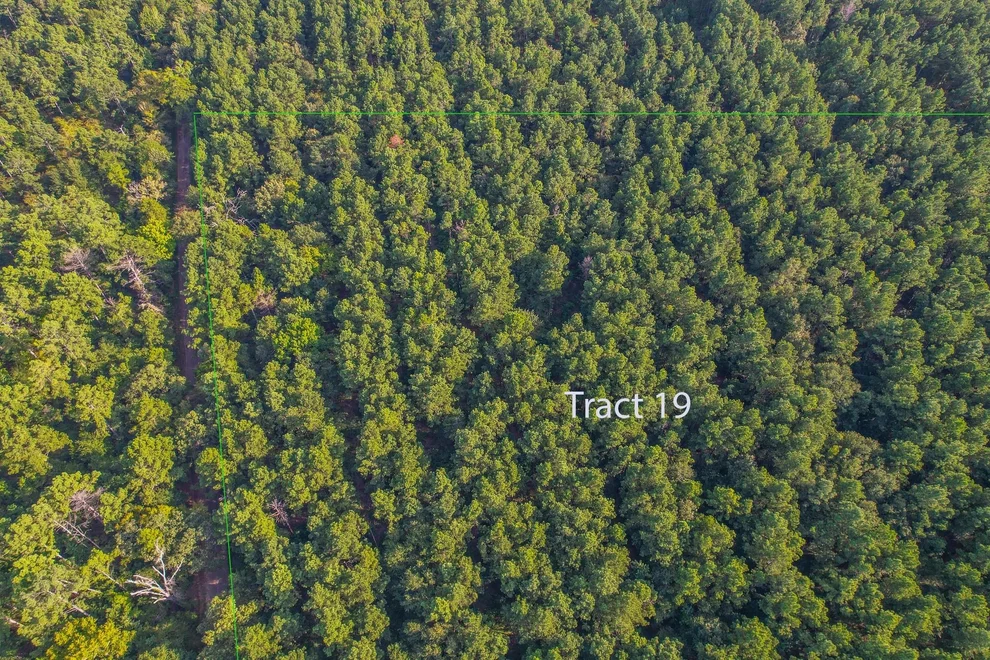 Unit for sale at Tract 19 County Road 4224, Frankston, TX 75763