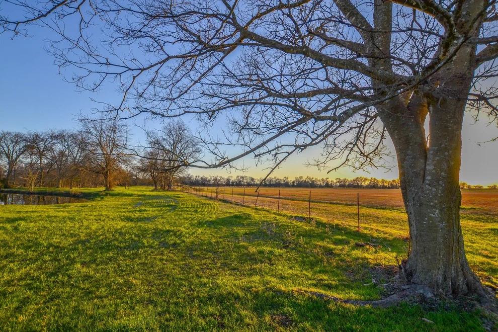 Unit for sale at 1392 E US Highway 69, Point, TX 75472