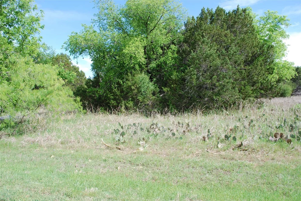 Unit for sale at 45011 Fringewood Drive, Whitney, TX 76692