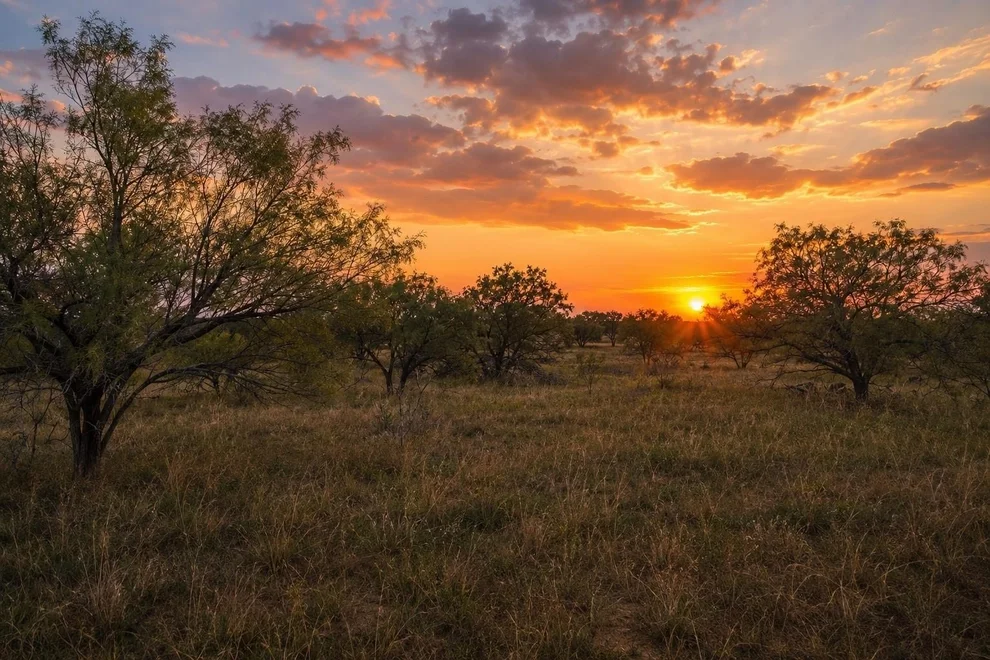 Unit for sale at TBD 13.345 ACRES CR 107, Abilene, TX 79601