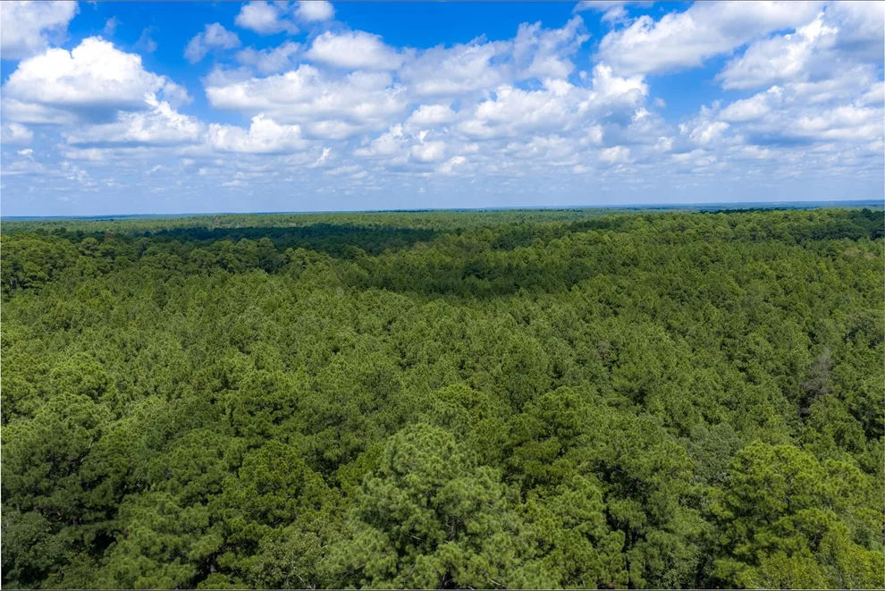 Unit for sale at NE Off Of FM 227, Kennard, TX 75847