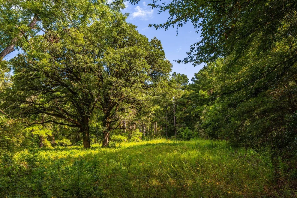 Unit for sale at Tract 6 Hwy 155, Frankston, TX 75763