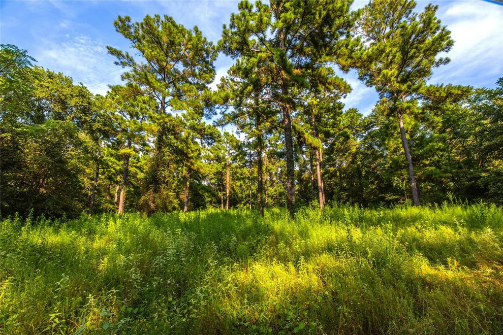 Unit for sale at Tract 11 County Road 4222, Frankston, TX 75763
