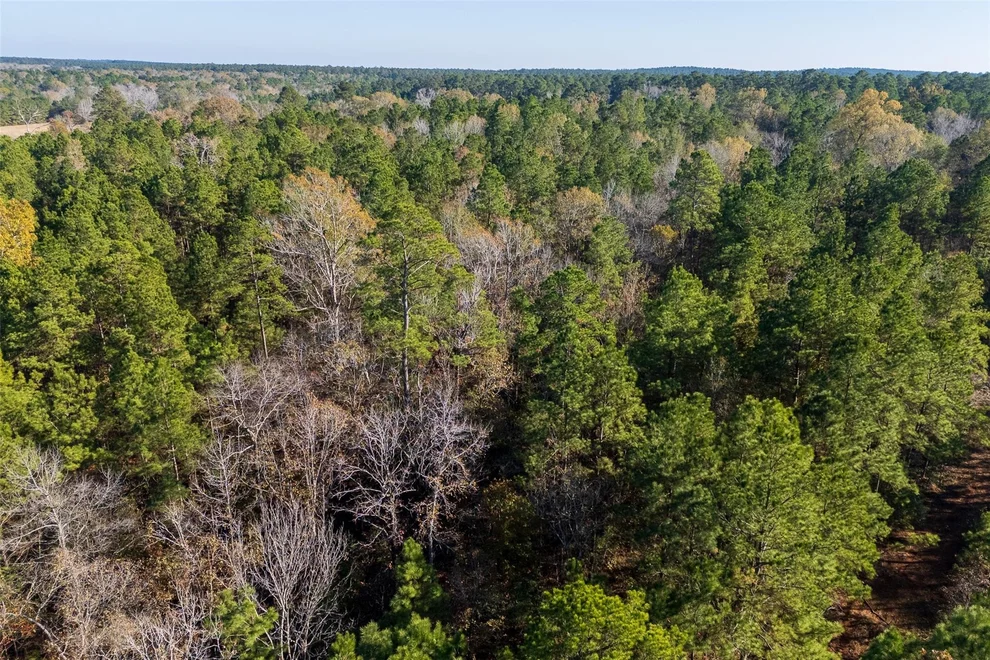 Unit for sale at 00 County Road 1135, Kennard, TX 75835