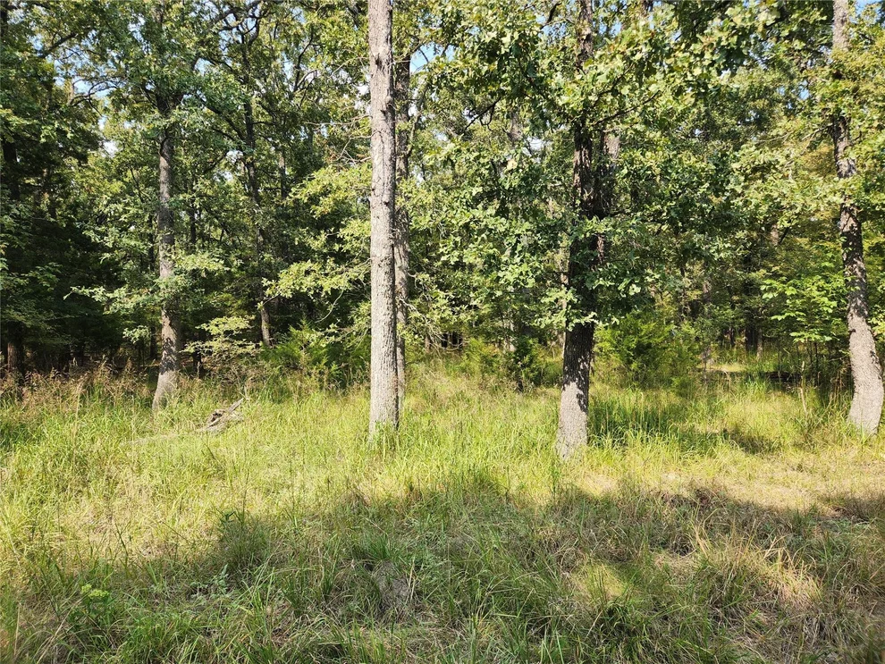 Unit for sale at Lot 31 Fox Point Road, Quinlan, TX 75474
