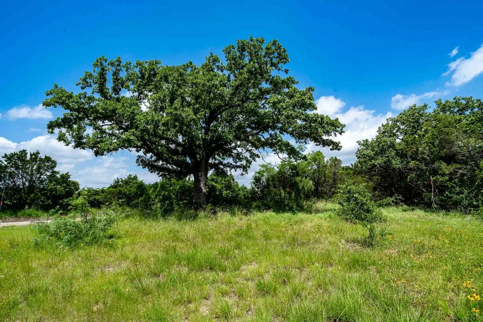 Unit for sale at TBD Fm 203, Glen Rose, TX 76043