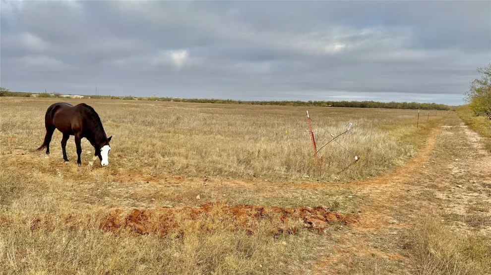 Unit for sale at TBD Iberis Road, Abilene, TX 79606