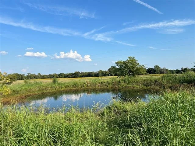 Unit for sale at TBD NE County Road 1010 Lot #6, Rice, TX 75155