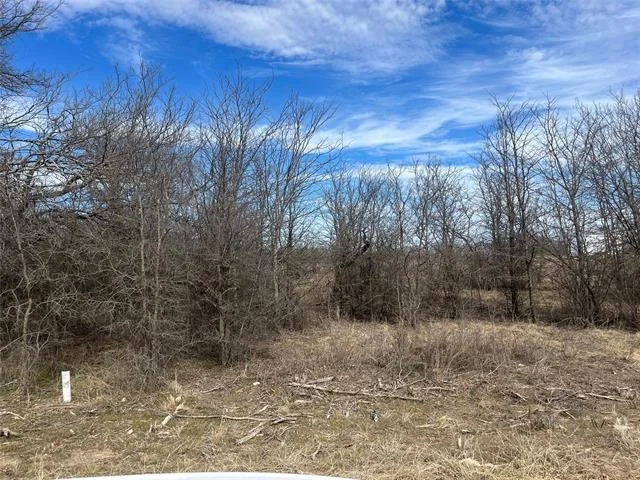 Unit for sale at TBD Sleepy Meadow Drive, Bridgeport, TX 76426