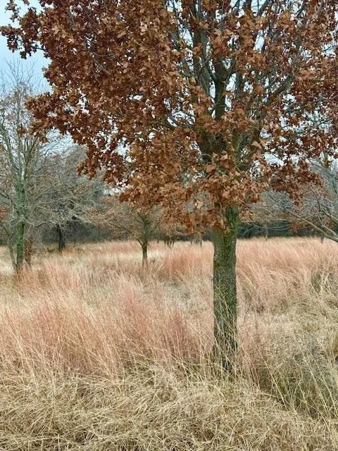 Unit for sale at 702 County Road 3597, Boyd, TX 76023