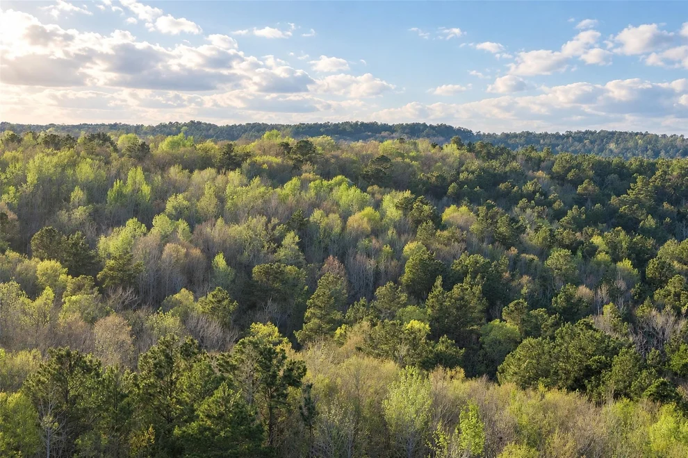 Unit for sale at 0 Farm to Market Road 747, Jacksonville, TX 75766