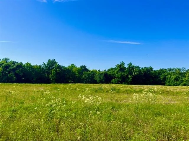 Unit for sale at Lot 65 Kilkenny Road, Poolville, TX 76487