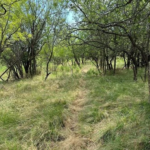 Unit for sale at Tract 19 AC CR 150, Abilene, TX 79601