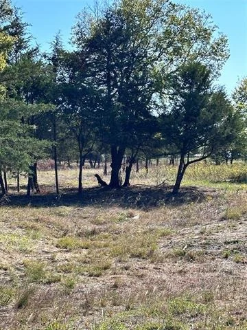 Unit for sale at 1146 County Road 2175, Klondike, TX 75448