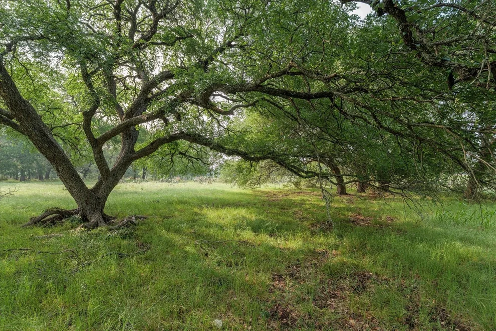 Unit for sale at 254 Guadalupe Drive, Oglesby, TX 76561