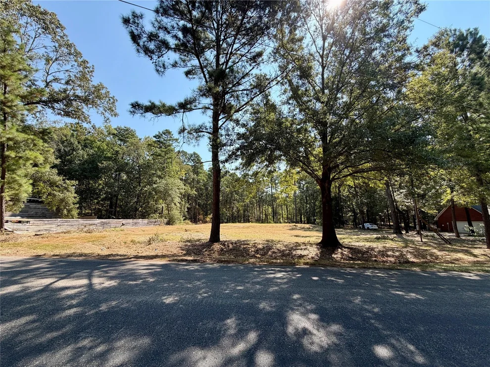 Unit for sale at 18084 Deer Trail, Flint, TX 75762