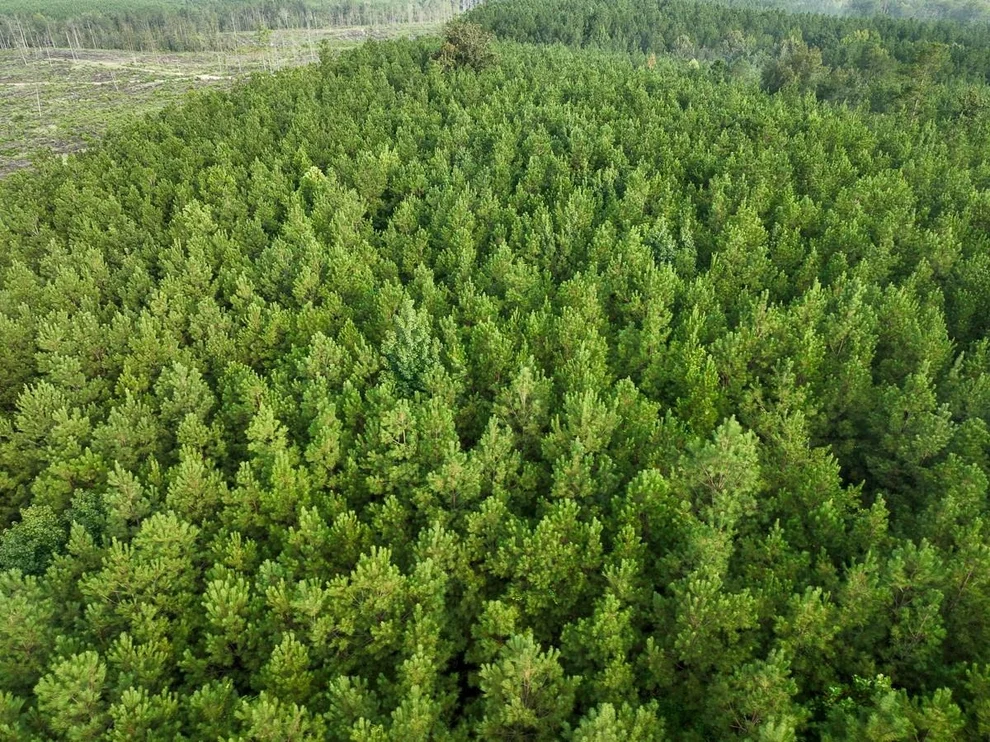 Unit for sale at 3 Big Hill Fire Tower Road, Robeline, LA 71469