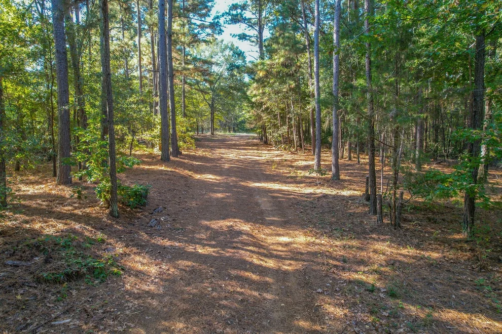 Unit for sale at 7821 Cr 3409, Chandler, TX 75758