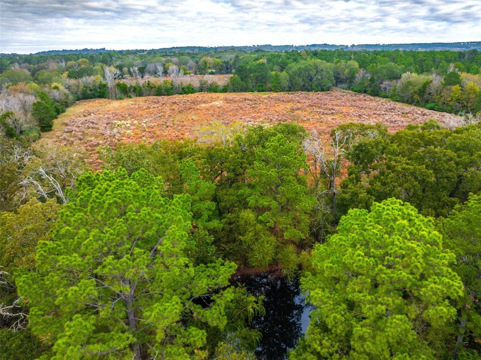 Unit for sale at 00 Anderson County Road 163, Elkhart, TX 75839