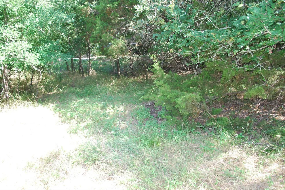 Unit for sale at 1306 Overlook Drive, Whitney, TX 76692
