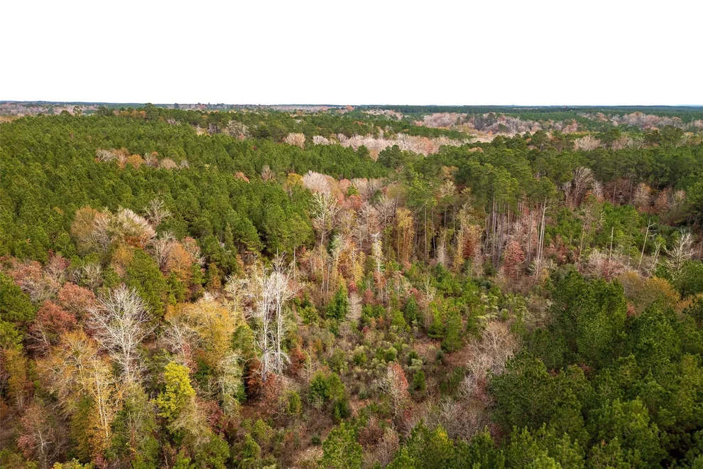 Unit for sale at 00 County Road 1247, Center, TX 75935