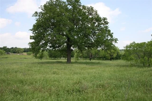 Unit for sale at 190 Brazos West Drive, Mineral Wells, TX 76067