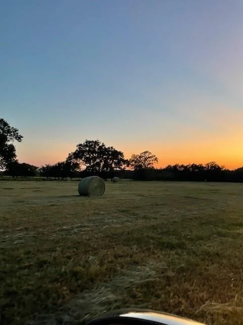 Unit for sale at 61.32 acres County Road 3417, Emory, TX 75472
