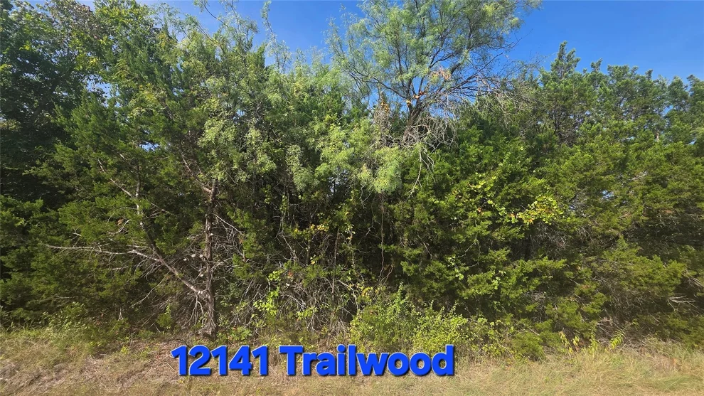 Unit for sale at 12141 Trailwood Drive, Whitney, TX 76692