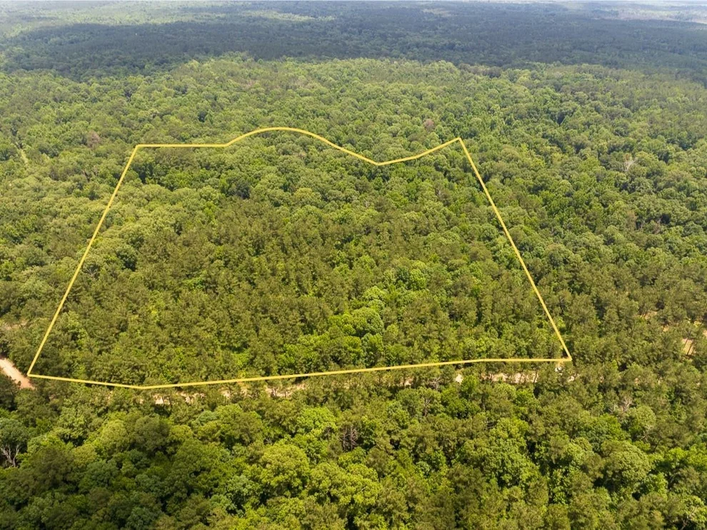 Unit for sale at 3 Posey Webb Camp Road, Sicily Island, LA 71343