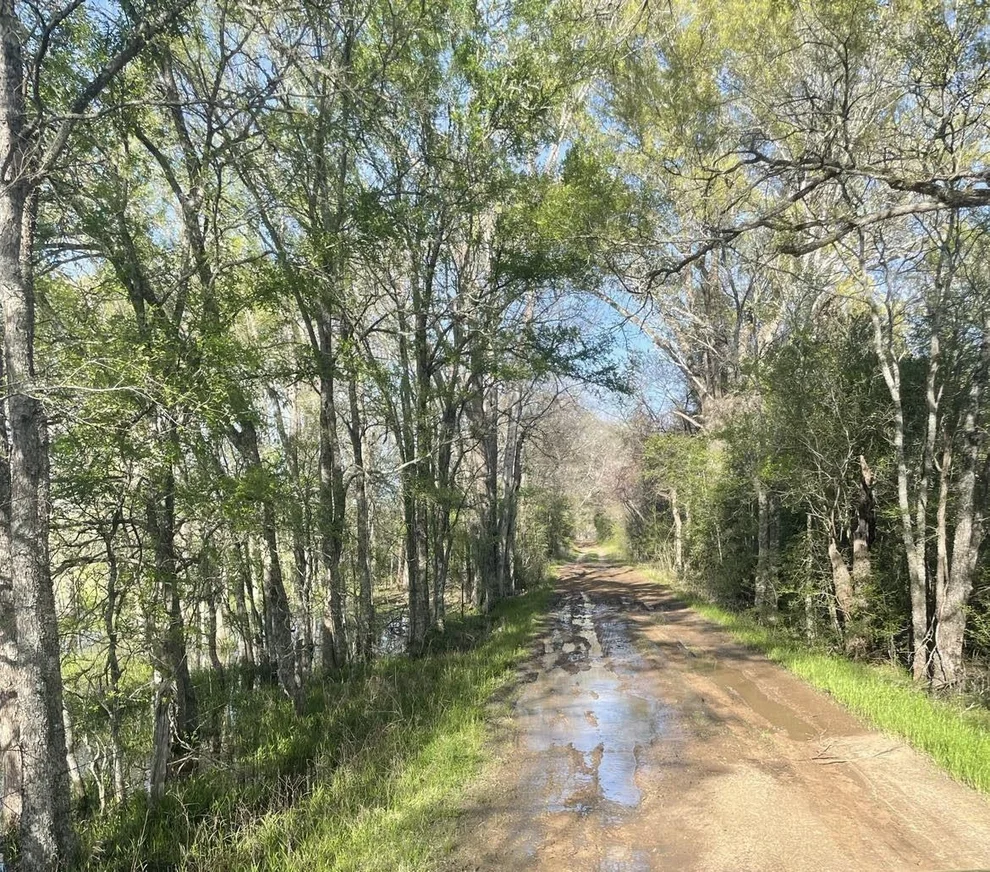 Unit for sale at TBD FM 542 Road, Oakwood, TX 75855