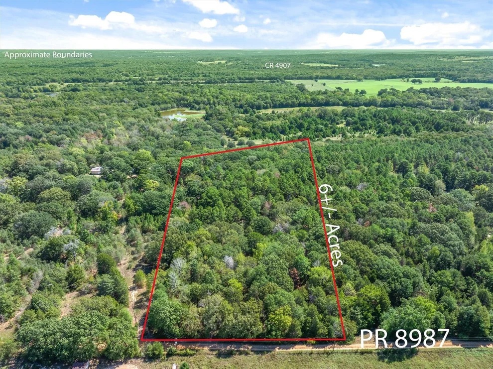 Unit for sale at TBD County Road 8987, Ben Wheeler, TX 75754